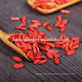 Goji vermelho goji de alta qualidade com preço baixo